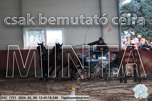 Mintakép 20260208-844