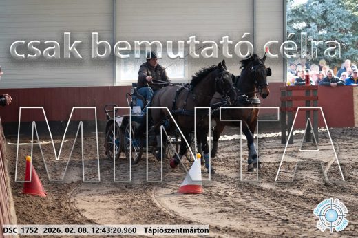 Mintakép 20260208-845