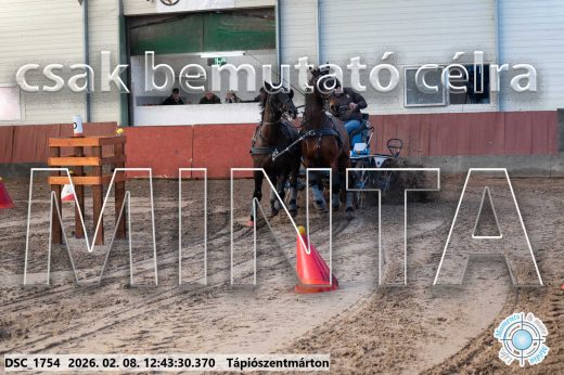 Mintakép 20260208-847
