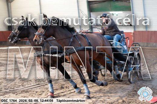 Mintakép 20260208-856