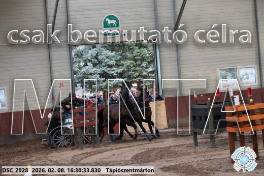 Mintakép 20260208-877
