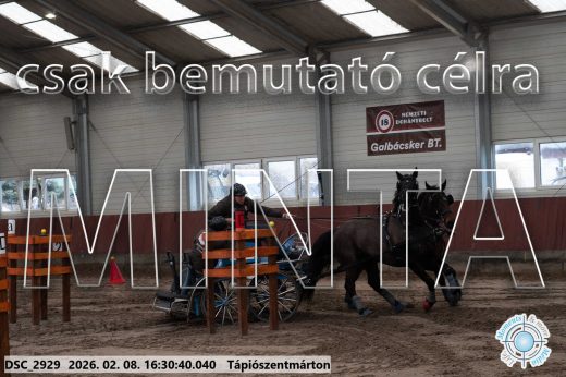 Mintakép 20260208-878