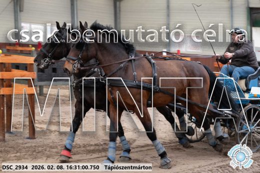 Mintakép 20260208-883