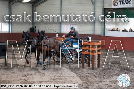 Mintakép 20260208-885