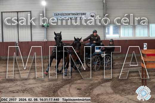 Mintakép 20260208-886