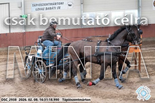 Mintakép 20260208-887