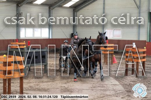 Mintakép 20260208-888