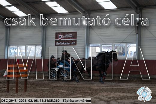 Mintakép 20260208-892