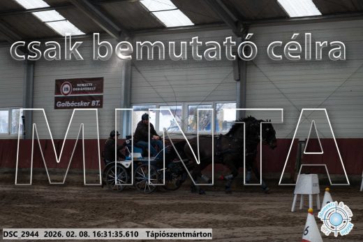 Mintakép 20260208-893