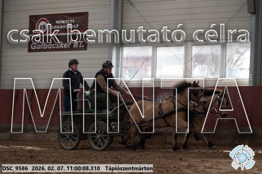 Mintakép 20260207-539