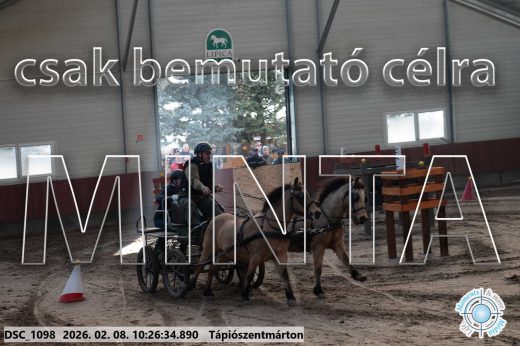 Mintakép 20260208-897
