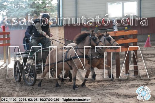 Mintakép 20260208-901