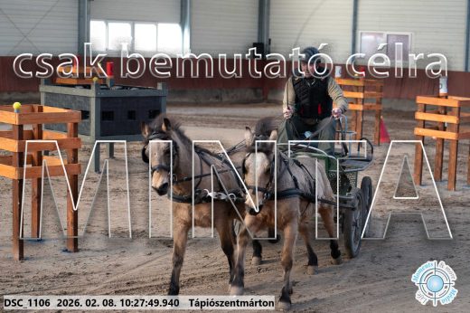 Mintakép 20260208-904