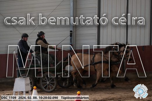 Mintakép 20260208-906