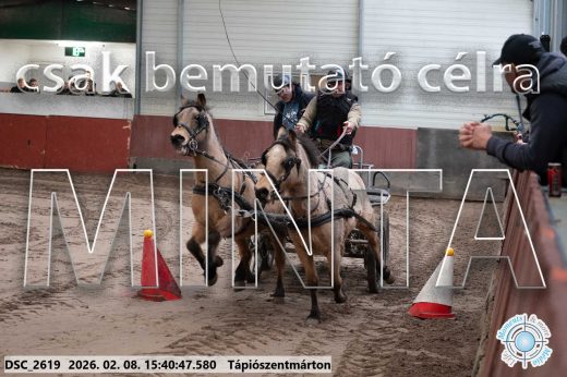 Mintakép 20260208-917