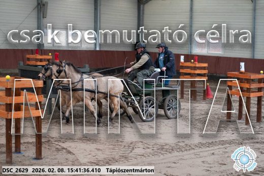 Mintakép 20260208-925