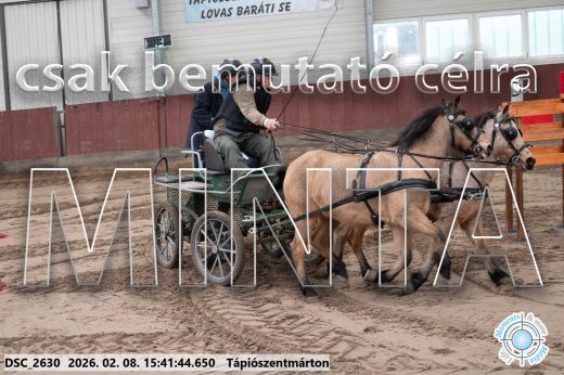 Mintakép 20260208-926