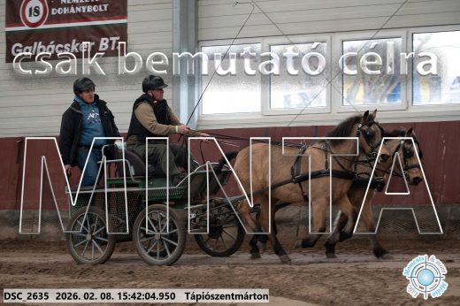Mintakép 20260208-930