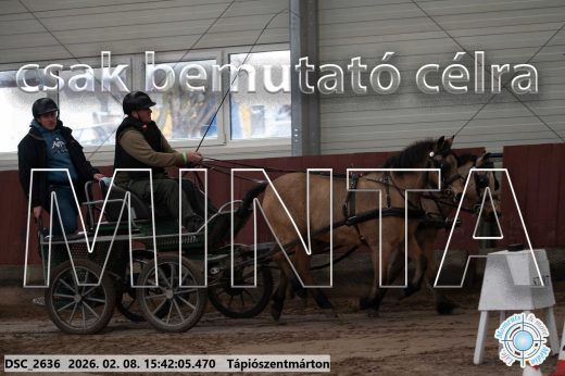 Mintakép 20260208-931