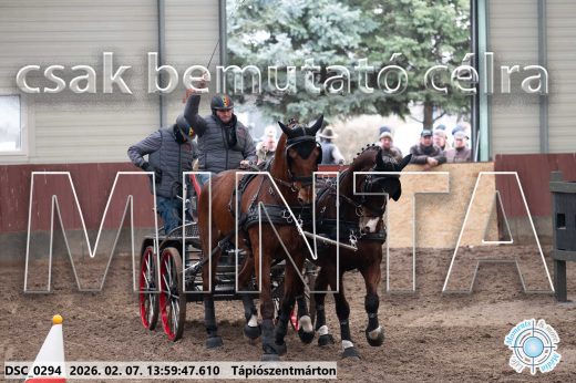 20260207-135947-DSC_0294.jpg