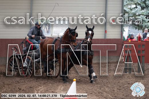 Mintakép 20260207-547