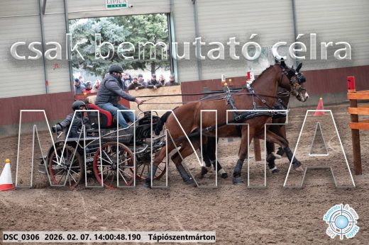 Mintakép 20260207-554