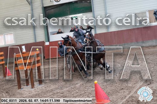 Mintakép 20260207-559