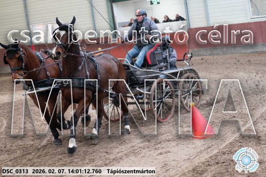 Mintakép 20260207-561