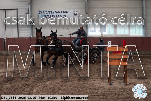 Mintakép 20260207-564