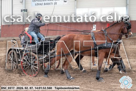 Mintakép 20260207-565