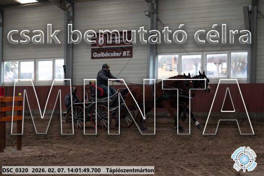 Mintakép 20260207-566
