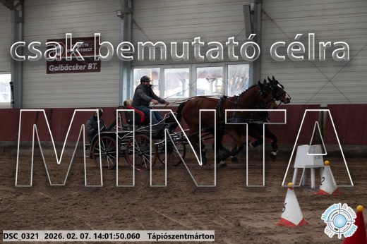 Mintakép 20260207-567