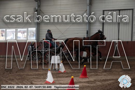 Mintakép 20260207-568