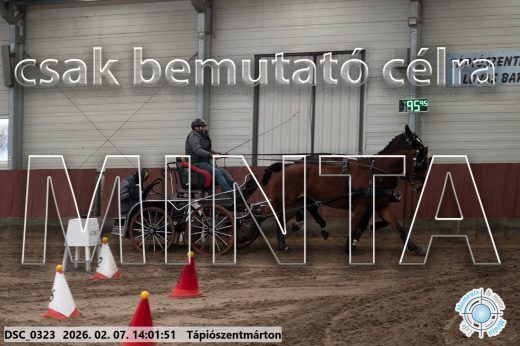 Mintakép 20260207-569