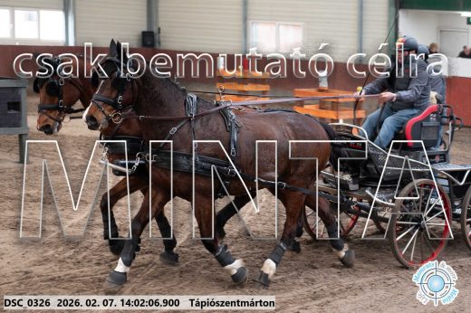 Mintakép 20260207-572