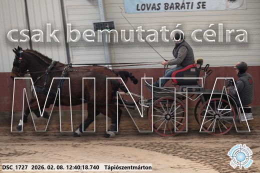 Mintakép 20260208-932