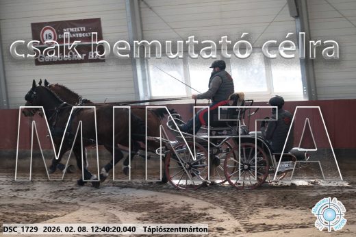 Mintakép 20260208-934