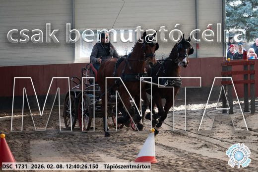 Mintakép 20260208-936