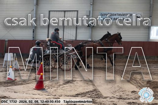 Mintakép 20260208-937