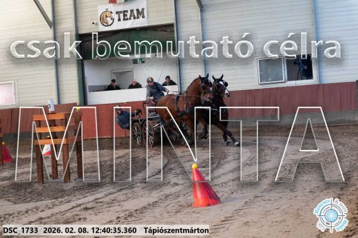 Mintakép 20260208-938