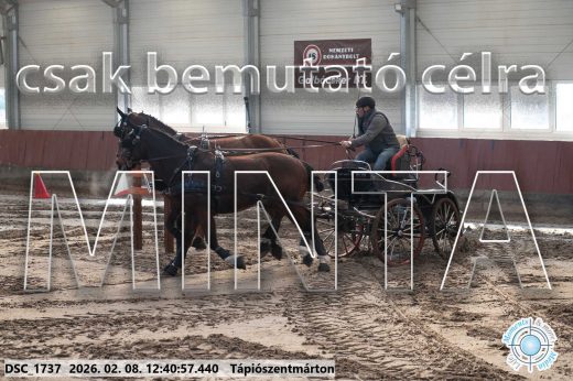 Mintakép 20260208-941