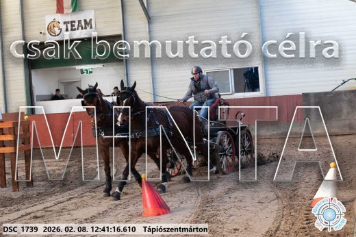 Mintakép 20260208-943