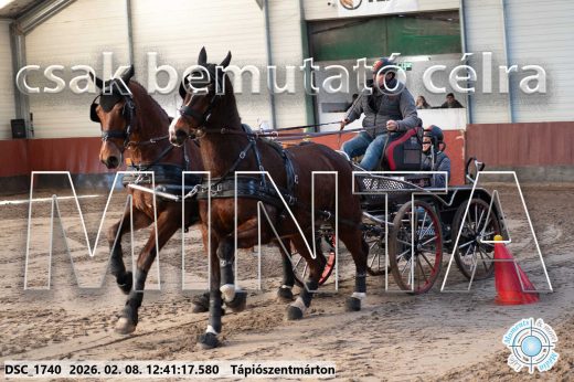 Mintakép 20260208-944