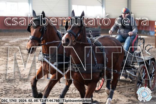 Mintakép 20260208-947