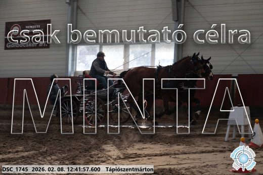 Mintakép 20260208-949