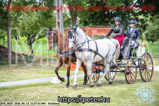 Mintakép 20260612-294