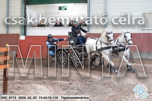 Mintakép 20260207-579