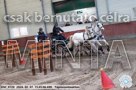 Mintakép 20260207-584