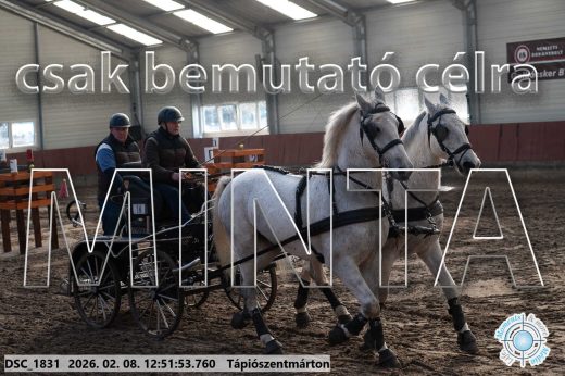 Mintakép 20260208-951