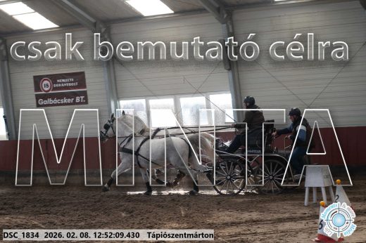 Mintakép 20260208-954